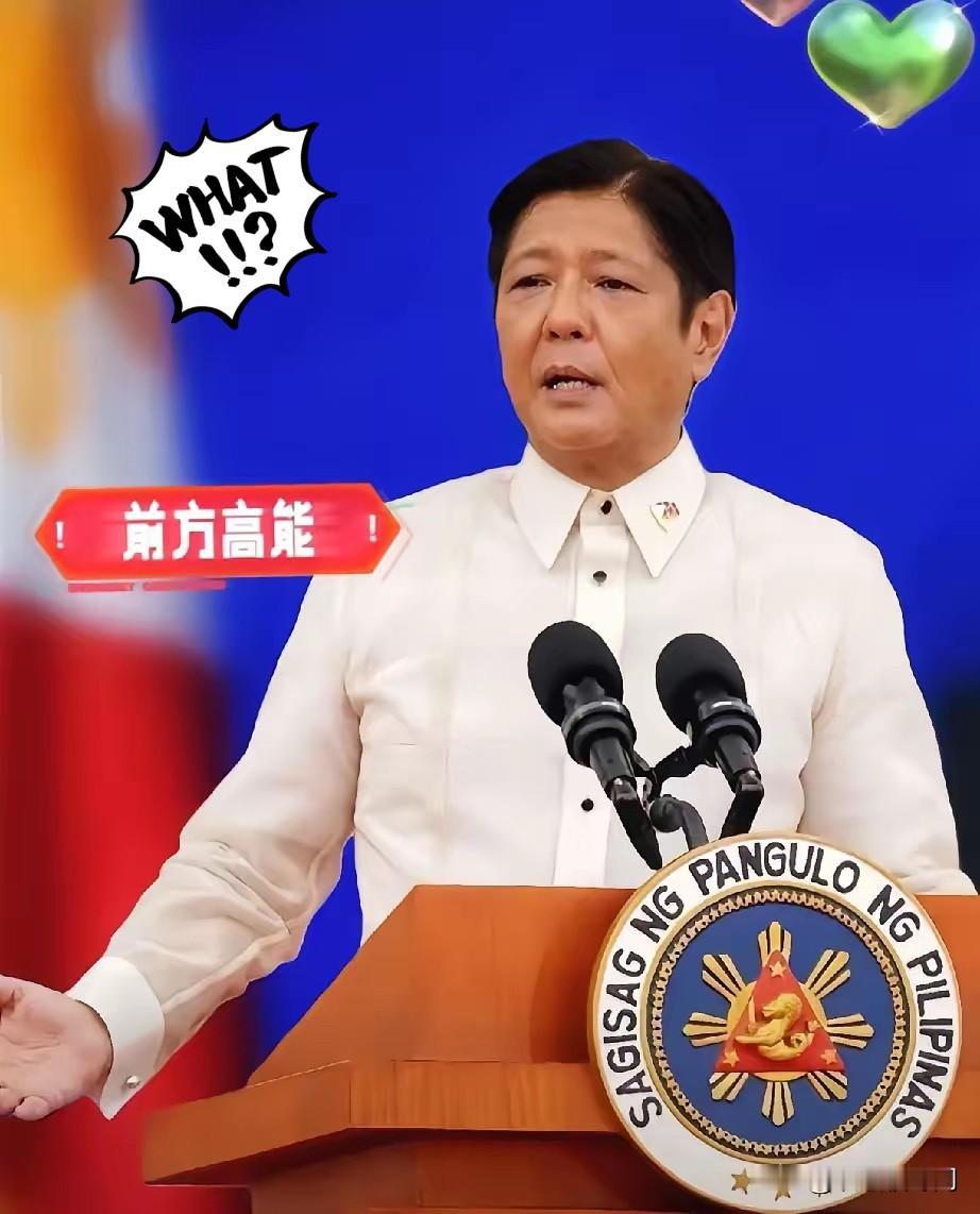 刚刷到的新闻菲律宾方面突然宣布了：中国在2025年11月11日向菲律宾提供约1