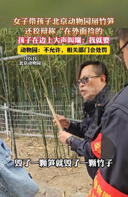 “都是惯出来的！”北京动物园里，一女子竟看着孩子当起“采笋大盗”，咔咔掰竹笋！被