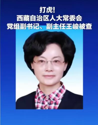 部级贪官【打虎！王峻接受审查调查】西藏自治区人大常委会党组副书记、副主任王峻涉嫌