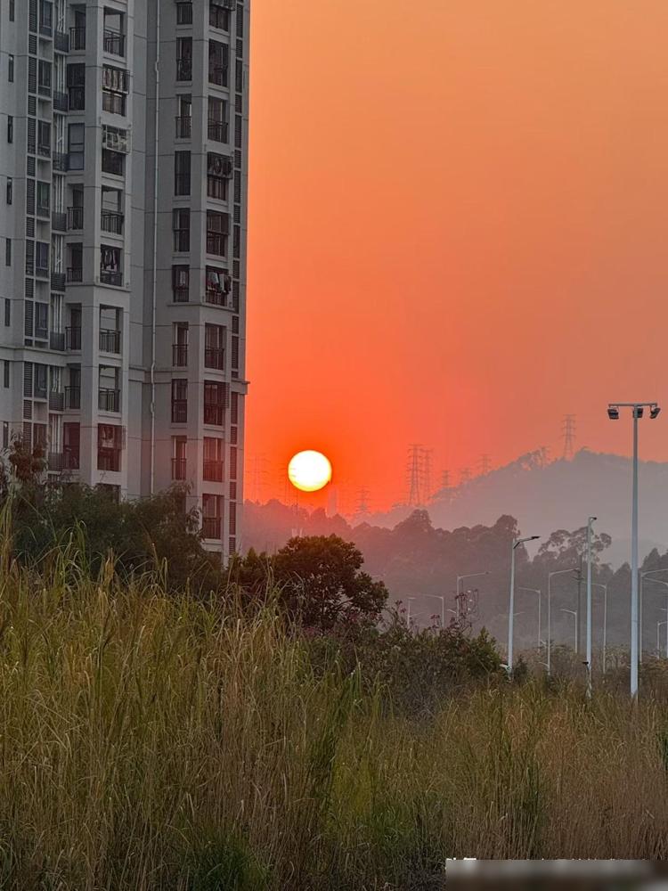 朋友的女儿今年33岁，去年谈了个对象，认识没多久的同居了，现在已经怀孕快七个月了
