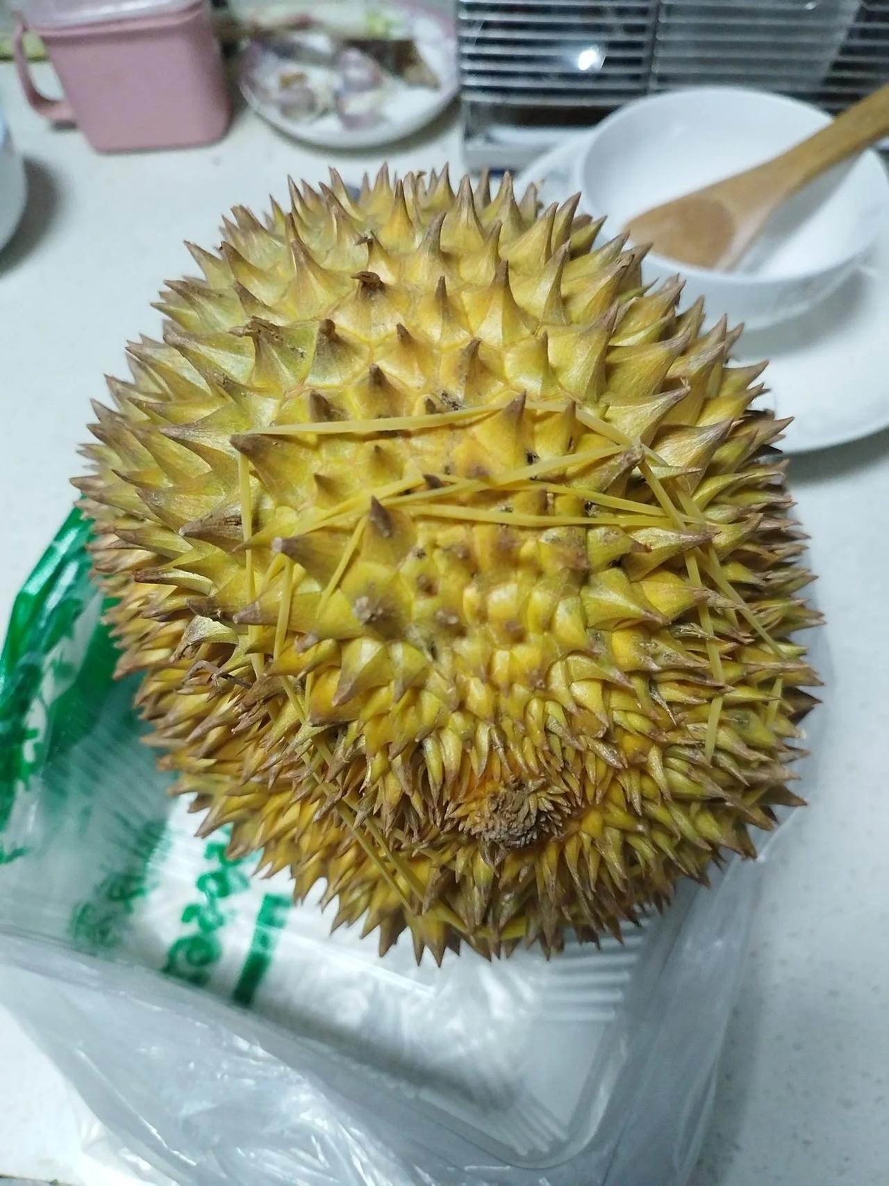 买榴莲要怎么挑？亲家昨天来拿了一个大榴莲，顶端看着也没开口，果柄也好着，但是闻着