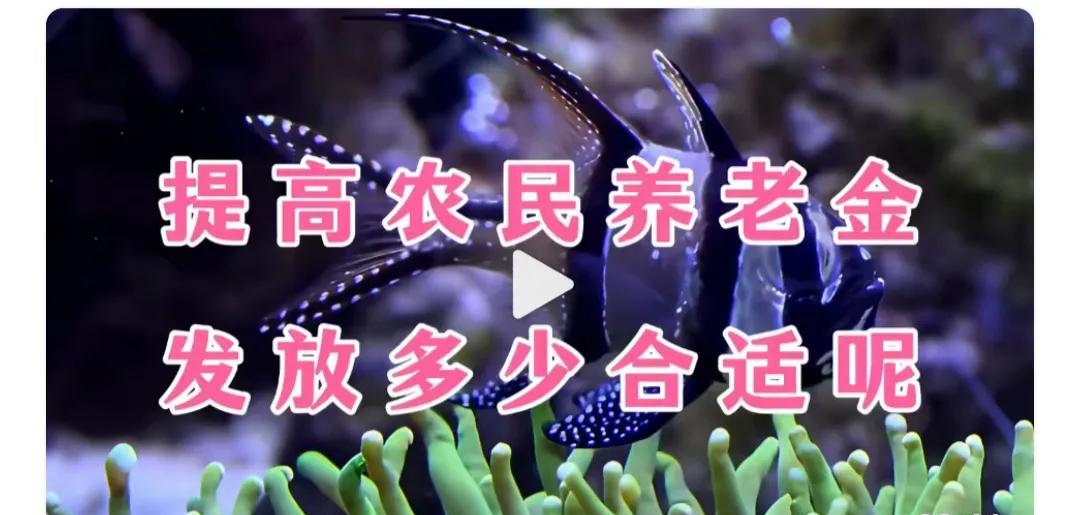 城市里租个小店铺做生意得交租金，这一点没有人会提出异议。如今在自媒体上可就奇葩