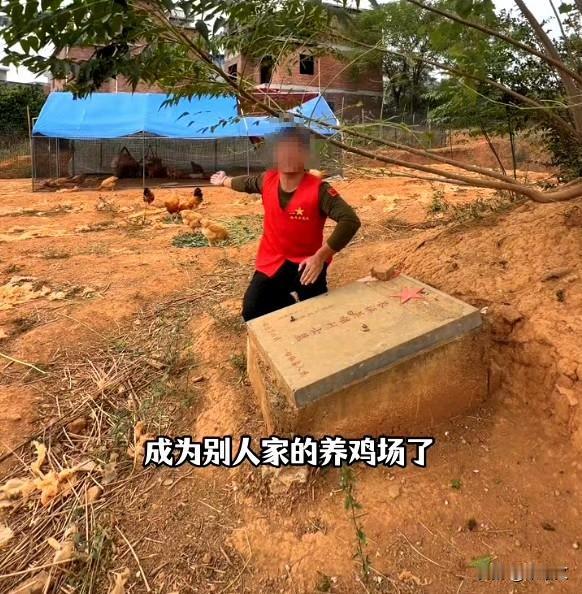 烈士墓变养鸡场？鸡群乱窜环境差，永州这事儿办得太不应该湖南永州这事儿看得人