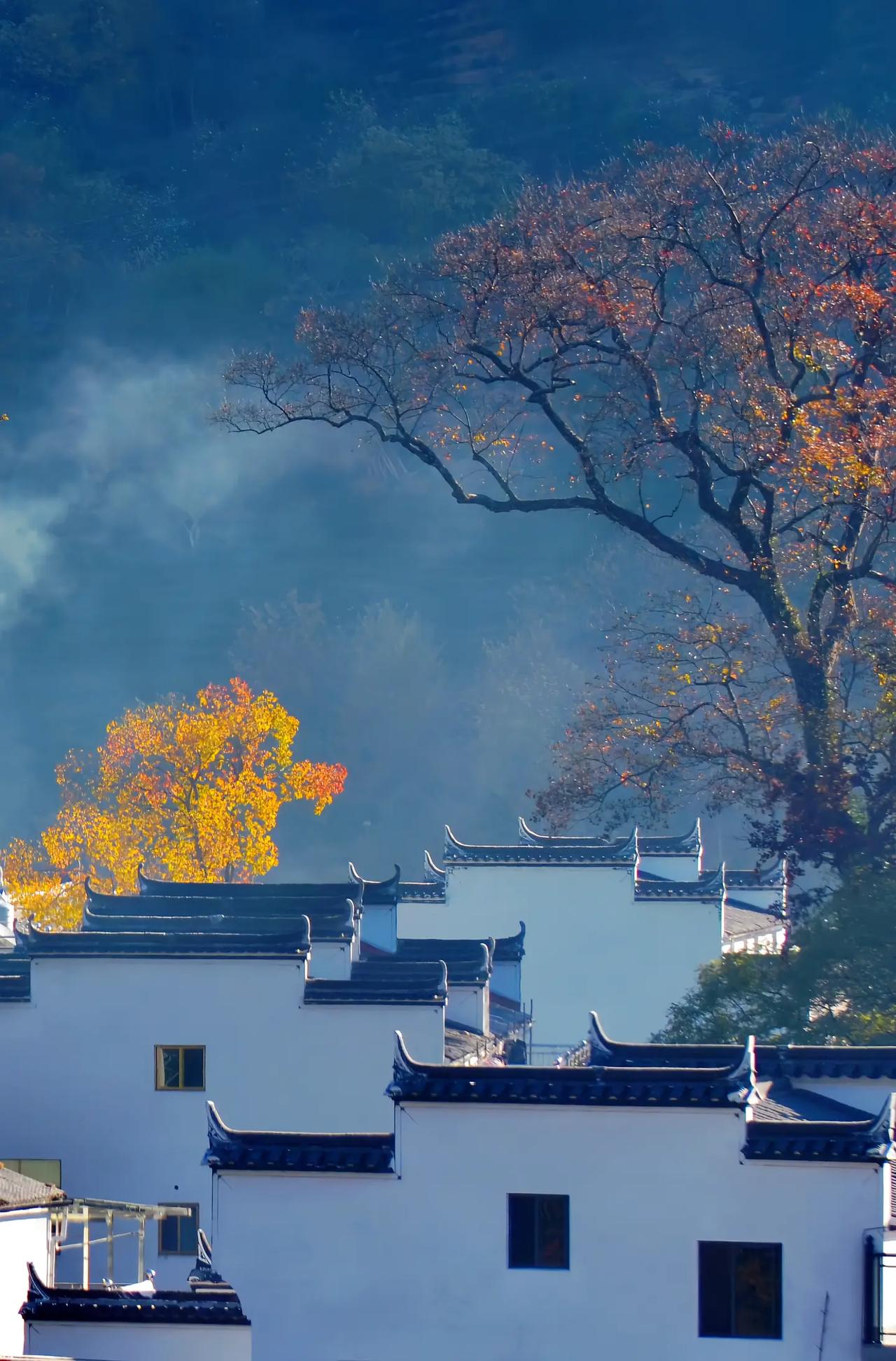 初三开学，南京某分校的同学，年级排名120名，离南师附中的指标生线差了一大截。他