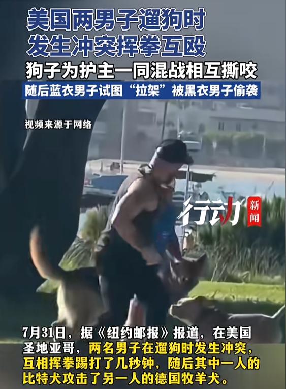 “哭笑不得！”8月2日报道，美国，两男子遛狗时，发生了冲突，他们互相扭打，毫不留