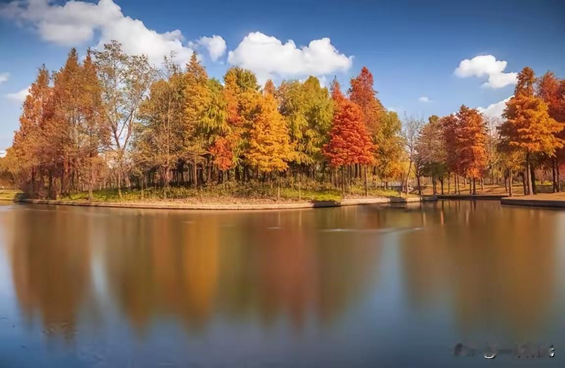 昨天吃晚饭时，老公扒拉几口饭，突然放下筷子，一脸认真地对我说，“要是和日本打起来
