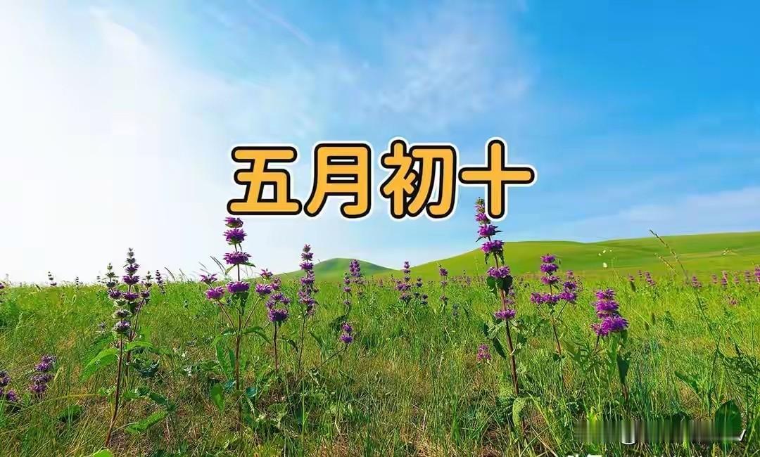 今日五月初十，1要看2要吃3不做，为全家讨个福气多多农历五月初十，老辈人说
