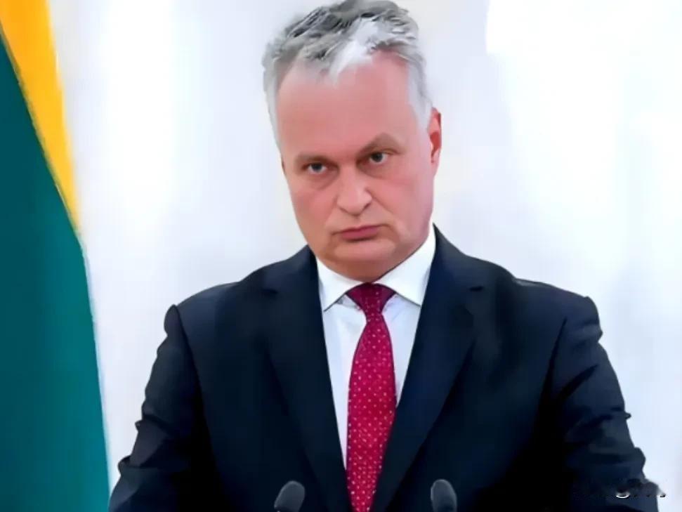 立陶宛：做外交“孤儿”的代价立陶宛因为挑衅东方大国而遭到惩罚，沦为外交“孤