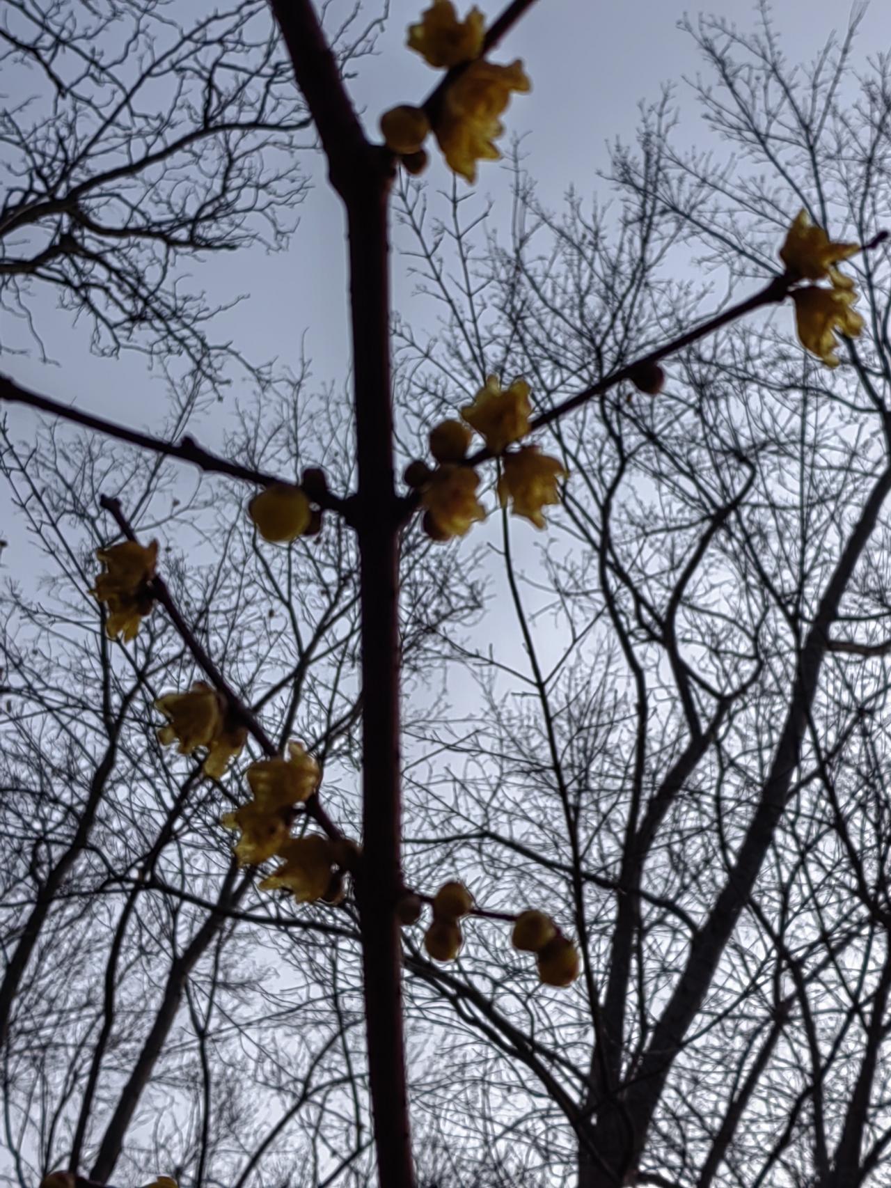 仅从《太平年》剧中，看不出冯道有什么坏的地方，为什么后世大文豪多有骂他？“胸怀