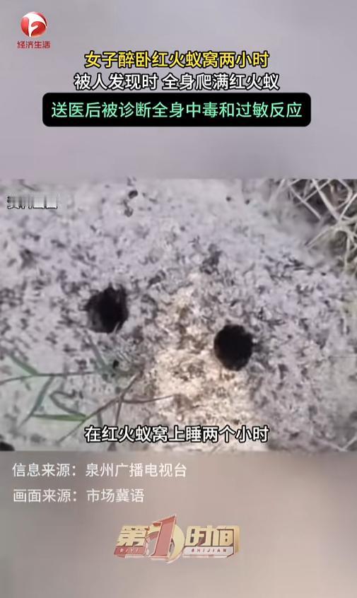 “醉酒女子被红火蚁捡尸！”7月15日报道，福建泉州，一女子喝醉了酒，直接醉倒在了
