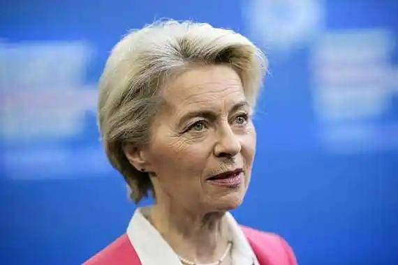 欧盟对我们的这则“禁令”一出，不少国内网友却表示“谢谢”。 事情的起因在于，