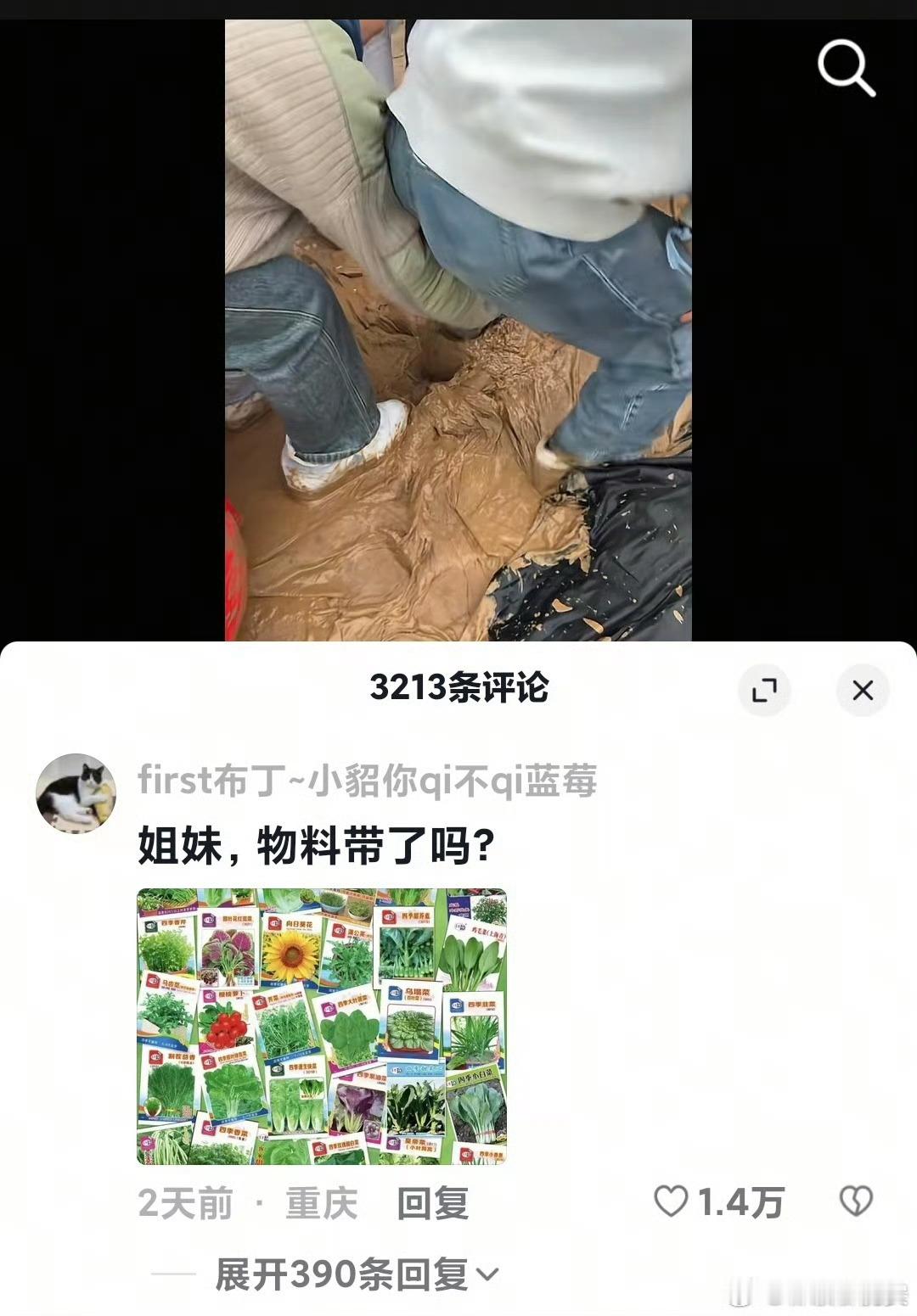 我终于知道任嘉伦为什么会说粉丝在泥里了，宝鸡音乐节这个场地真的可以插秧了[捂脸哭]