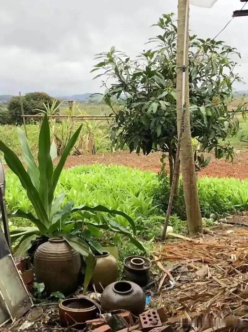 三年前堂哥承包果园，钱不够，跟我借了120000元。今年果园收成了，还赶上了