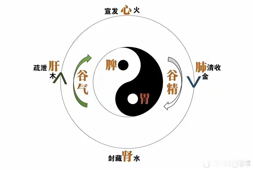 儿童鼻炎，巧用辛夷，脾肺强壮了，正气足了，鼻子自然就通气了调理儿童鼻炎、鼻窦炎问