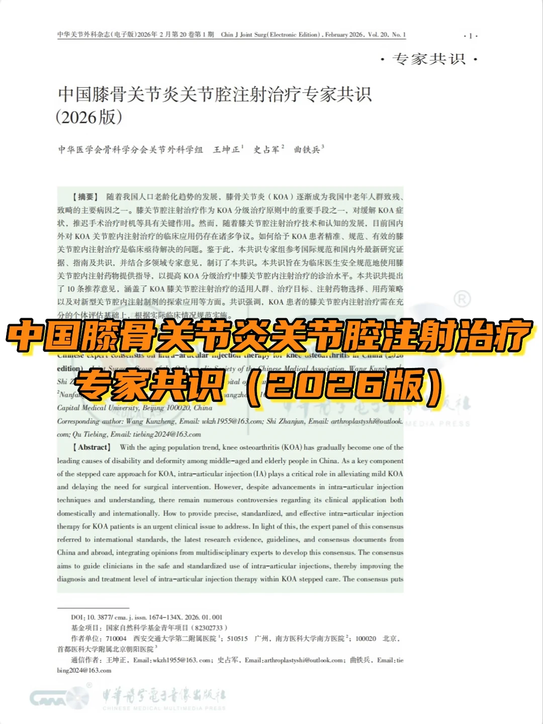 中国膝骨关节炎关节腔注射治疗专家共识2026