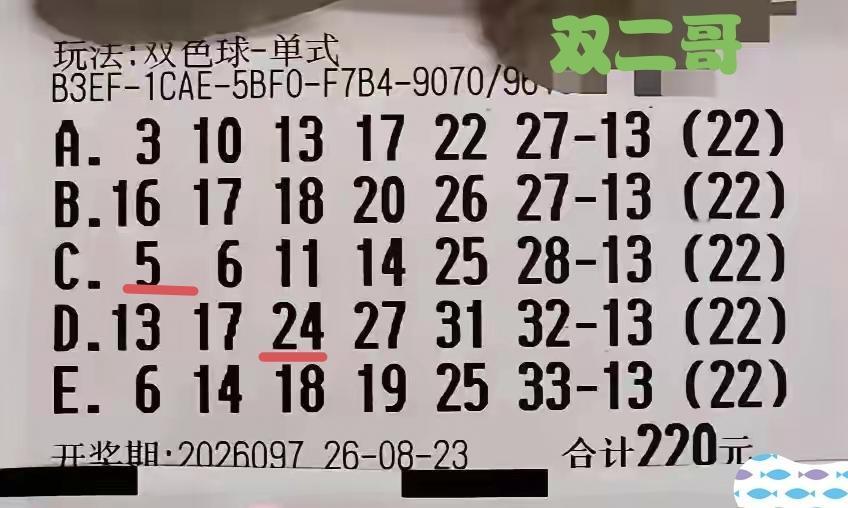 在第97期福彩双色球征战途中，这个赛道的网络红人双二哥又败下阵来，其加码出击的三