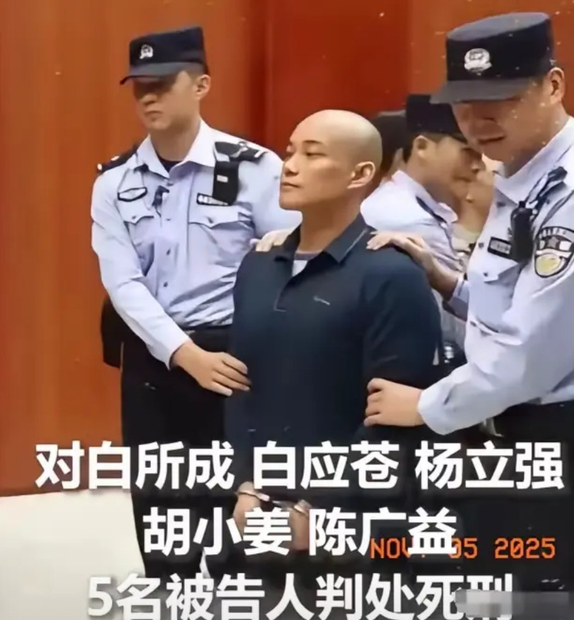 果敢曾经的白家二少，威风八面，开顶级跑车，戴百万名表。如今被判死刑，在法庭上还