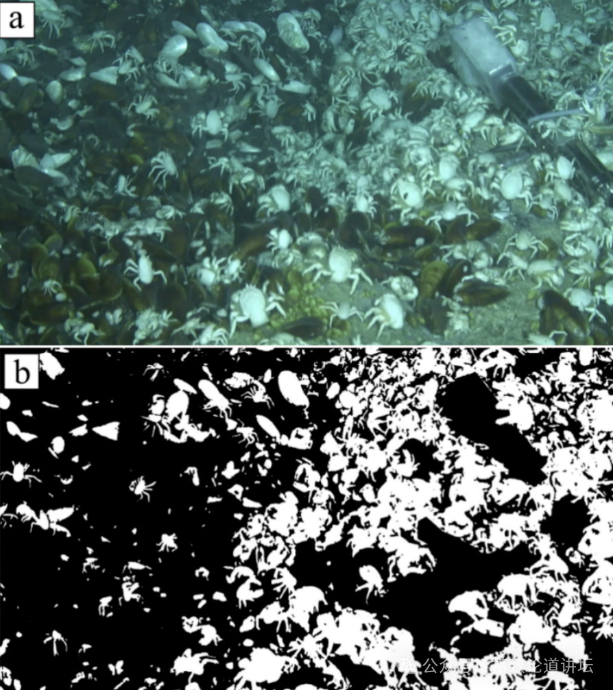 【深海生物不挨饿的秘密】深海冷泉是个相当任性的存在。名字里带“泉”，却完全不按点
