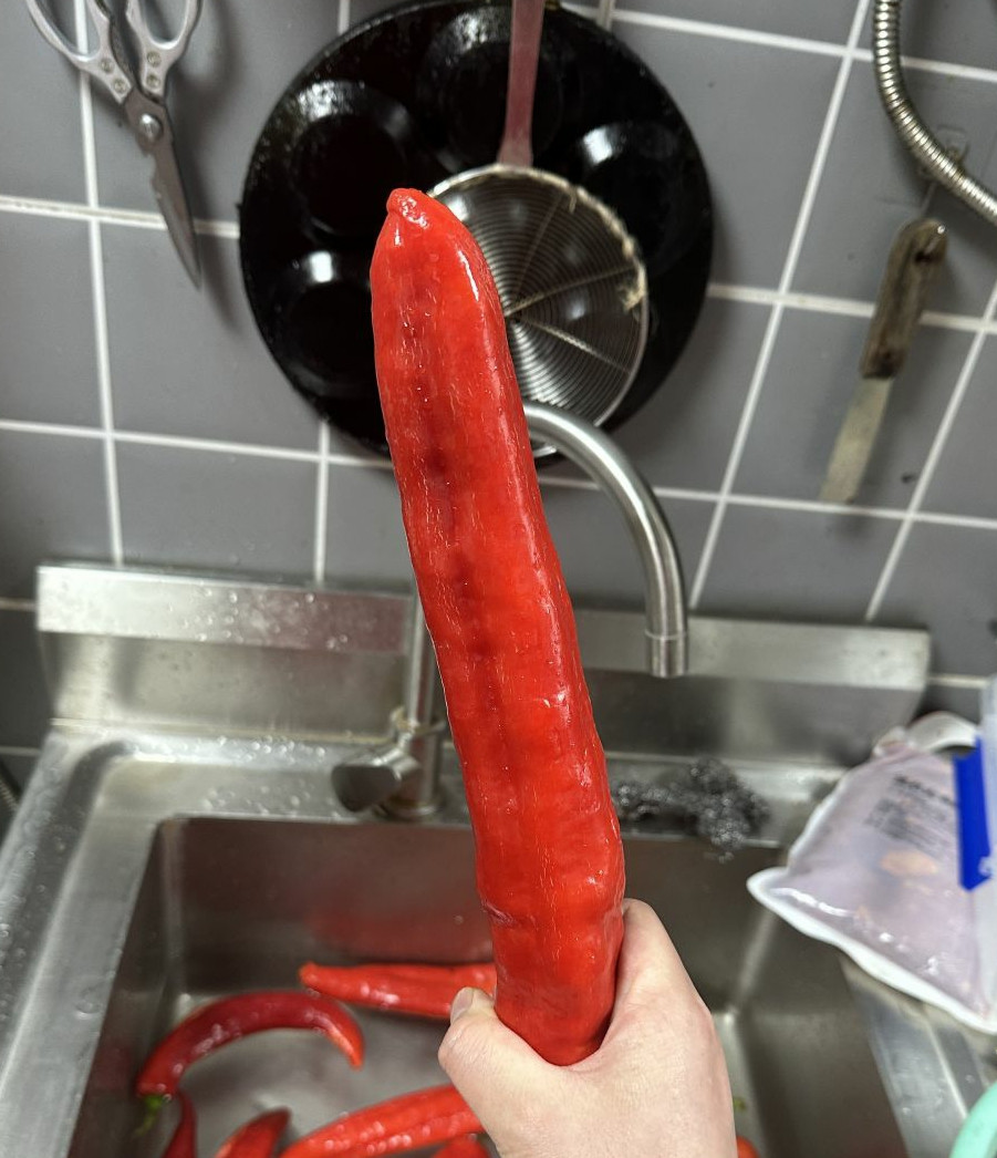 这大辣椒，长得真带劲😂😂，直接一步到位，直上云霄