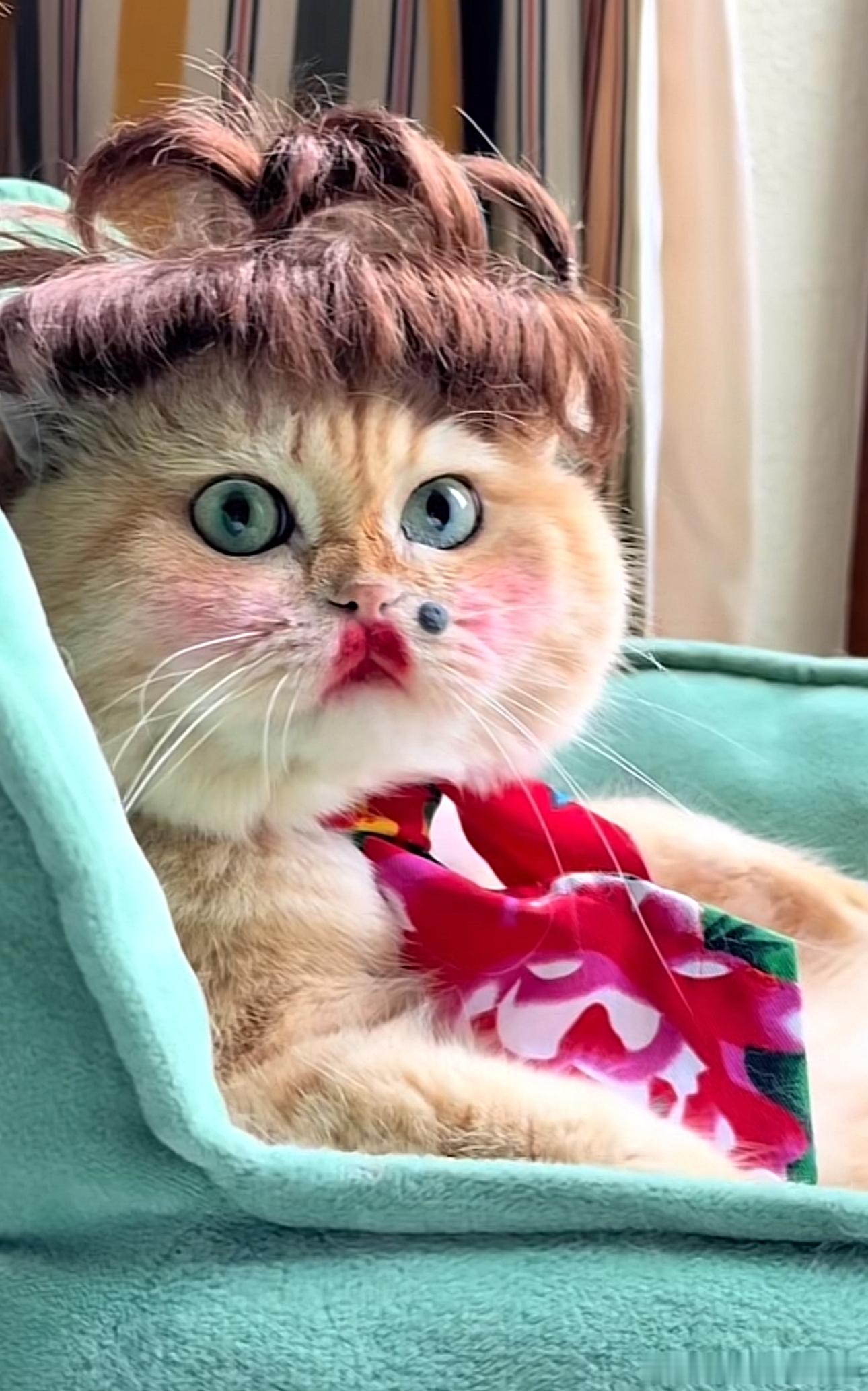 那颗痣是认真的嘛