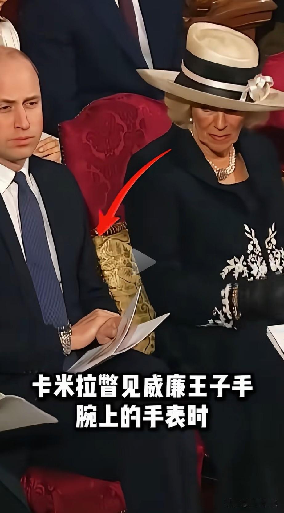 卡米拉看威廉手上的表为何要这般表情，光明正大看不行吗。想想，威廉手上这块手表是