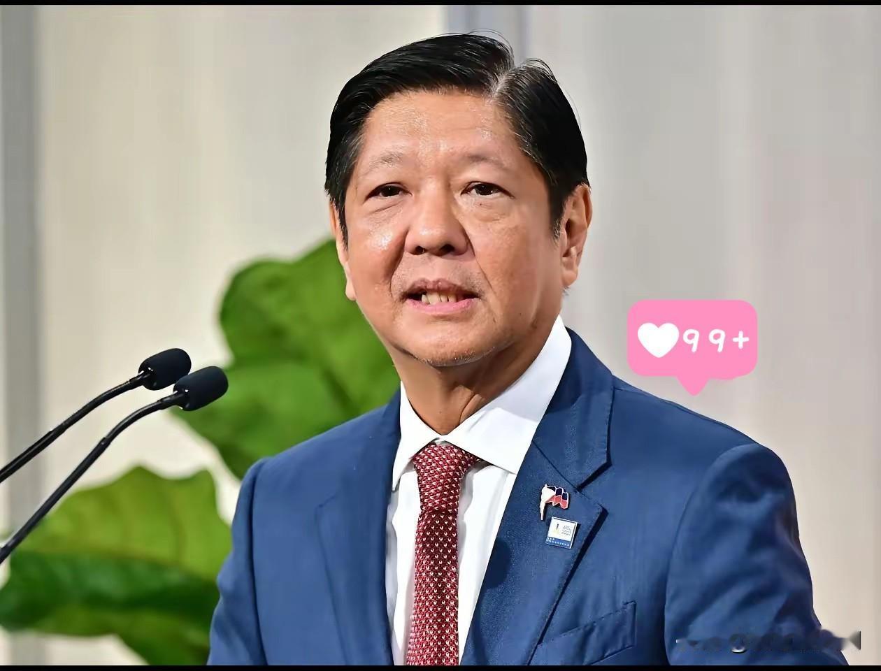 就在刚刚！菲律宾政府宣布了！12月起全面推广针对中国游客的电子签证，该签证已