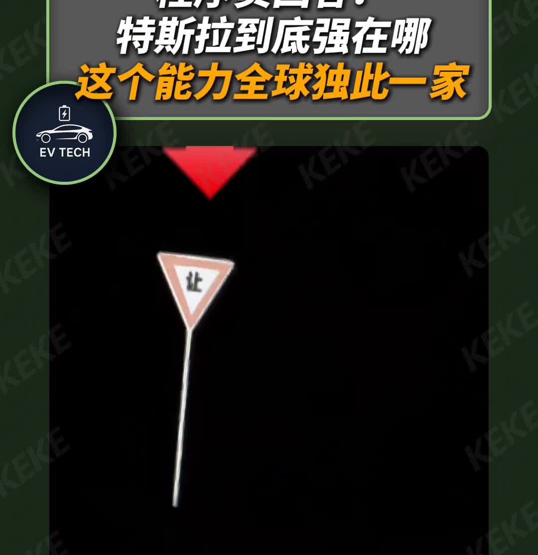 程序员回答：特斯拉到底强在哪？这个能力全球独此一家。有个网友是程序员，分享了