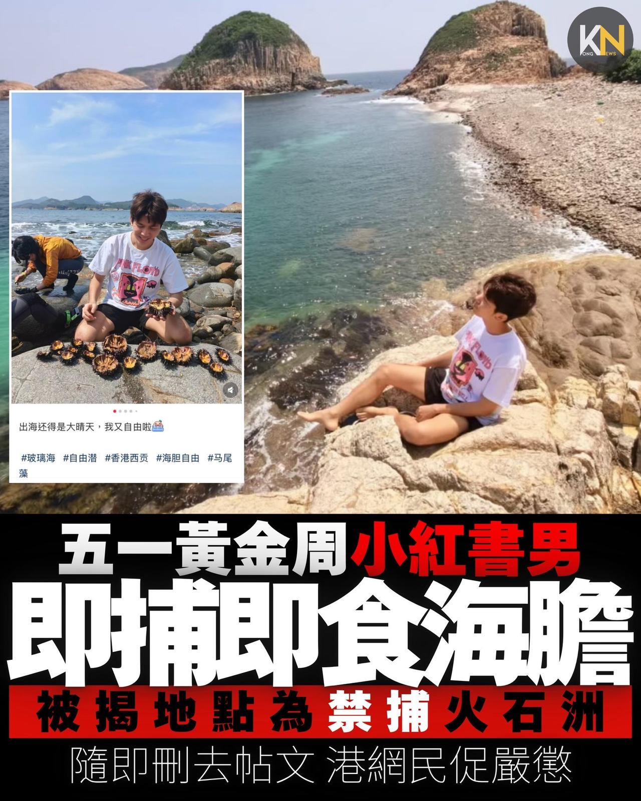 有港媒在小红书看到一位内地游客发帖，形容香港海边的海胆很多，可以马上抓马上吃，引