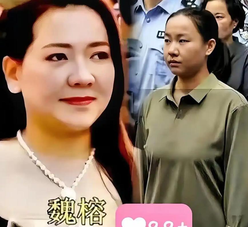 魏榕的好日子快到头了！9月29日，缅北明家被公开审判，明珍珍等11人被判处死