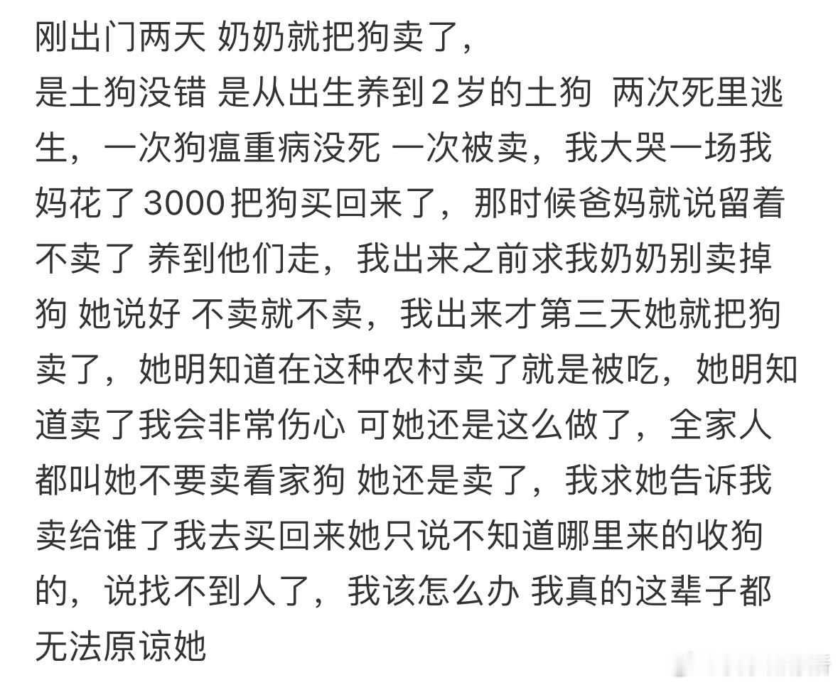 刚出门两天，奶奶就把狗卖了​​​