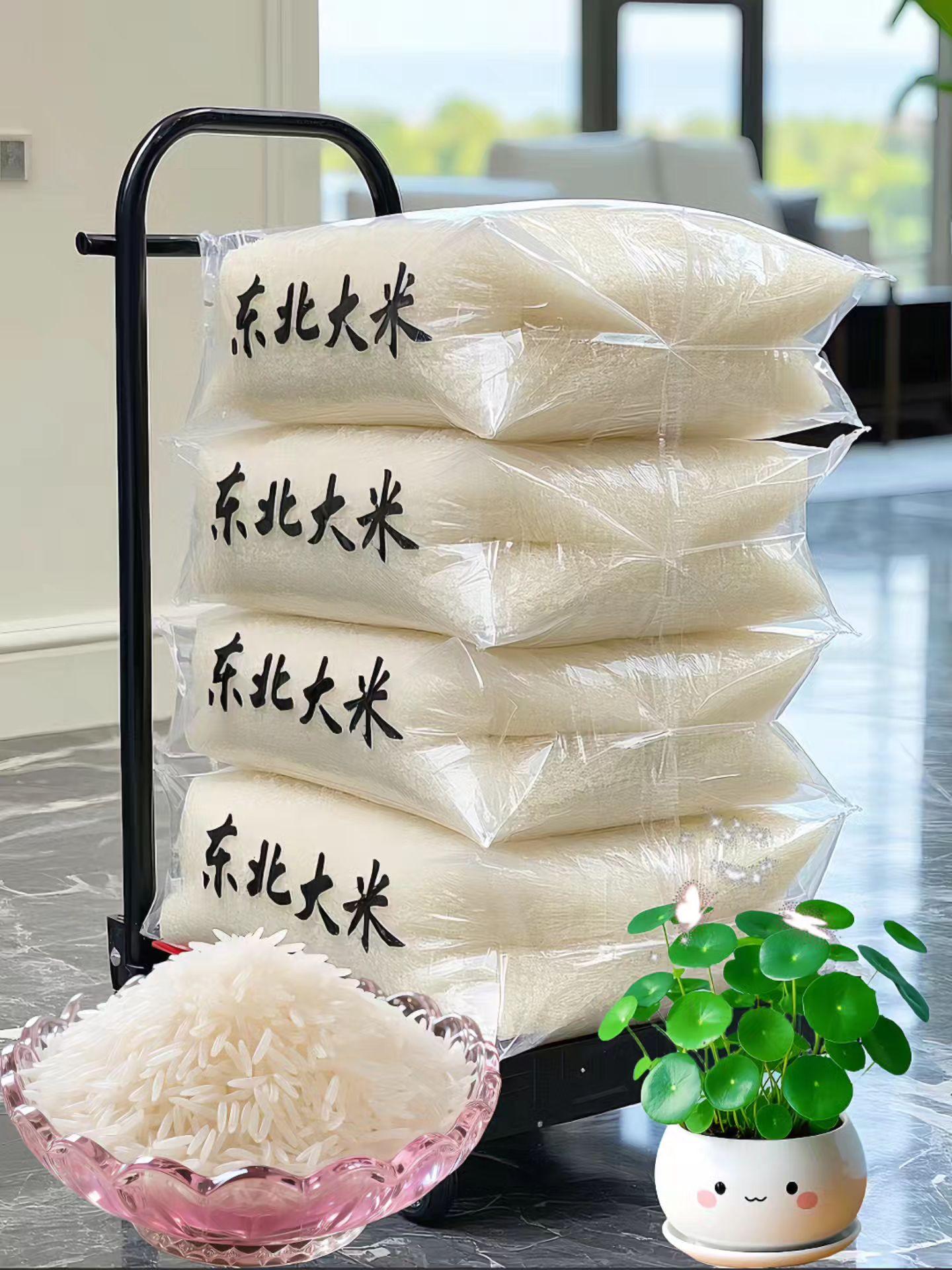 东北黑土地种植的东北大米！家人们快来看啊！东北大米来了！颗粒饱满，色泽...