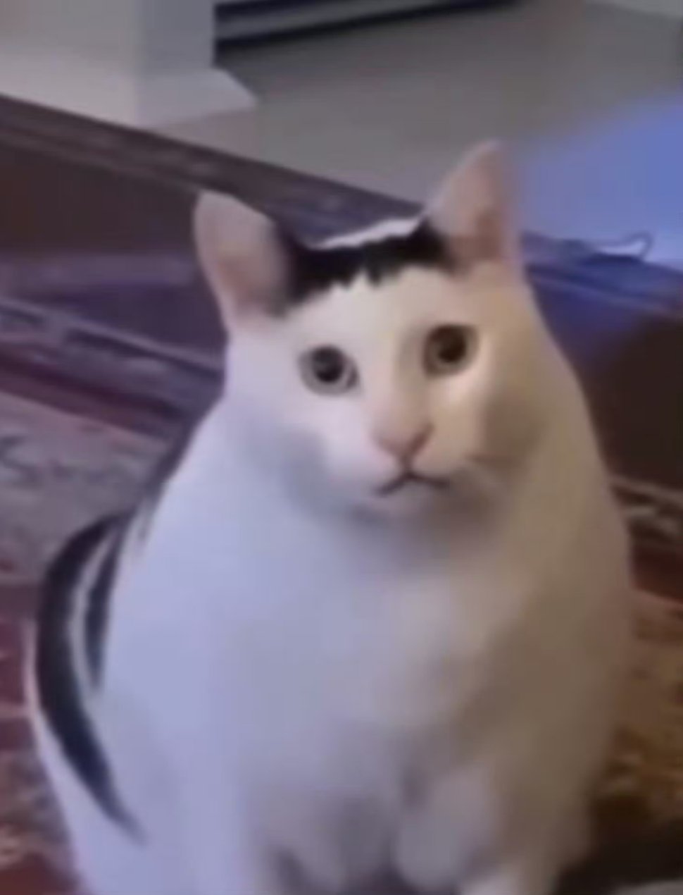 我上班：