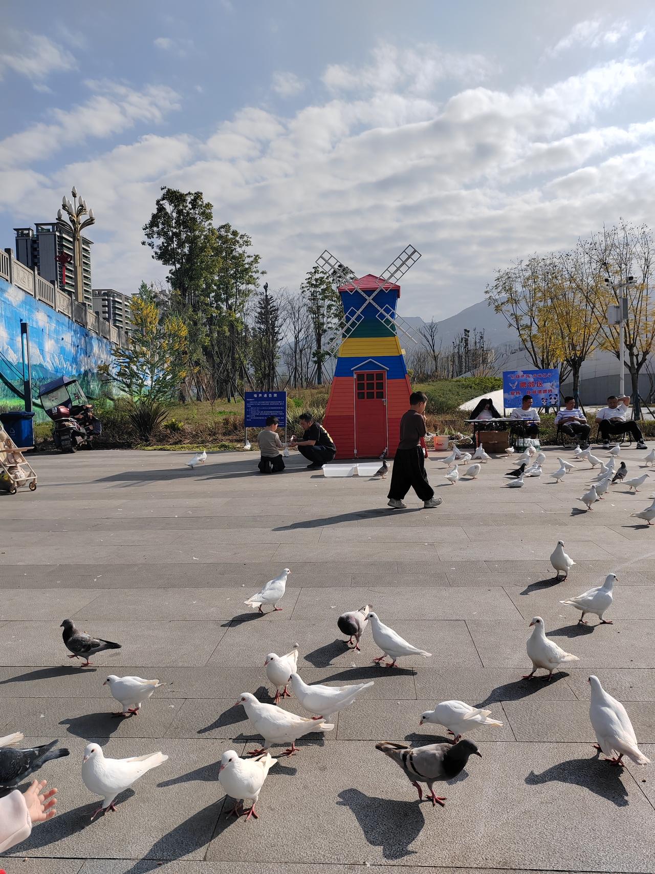 退休最聪明的活法，核心是：健康打底、财务安全、精神丰盈、边界清晰、心态松弛，把日