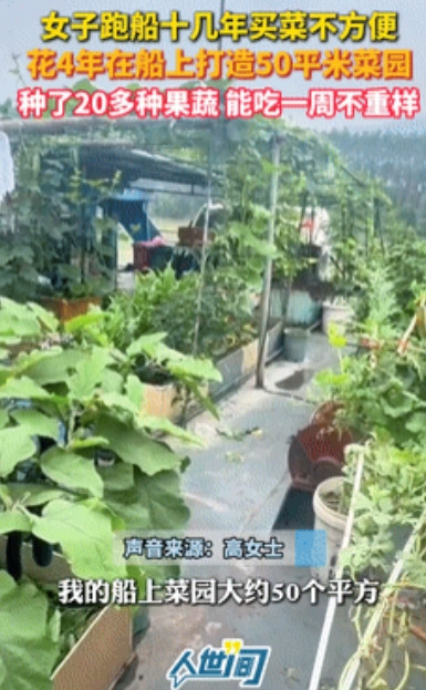 彻底解释不清了！”女子跑船吃不到新鲜蔬菜，竟在船上打造一个50㎡菜园！如今不仅能