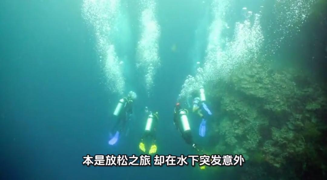 悲痛！36岁新西兰华人教师斐济潜水遇难，1.2万粉丝泪别，校方发讣告致哀1