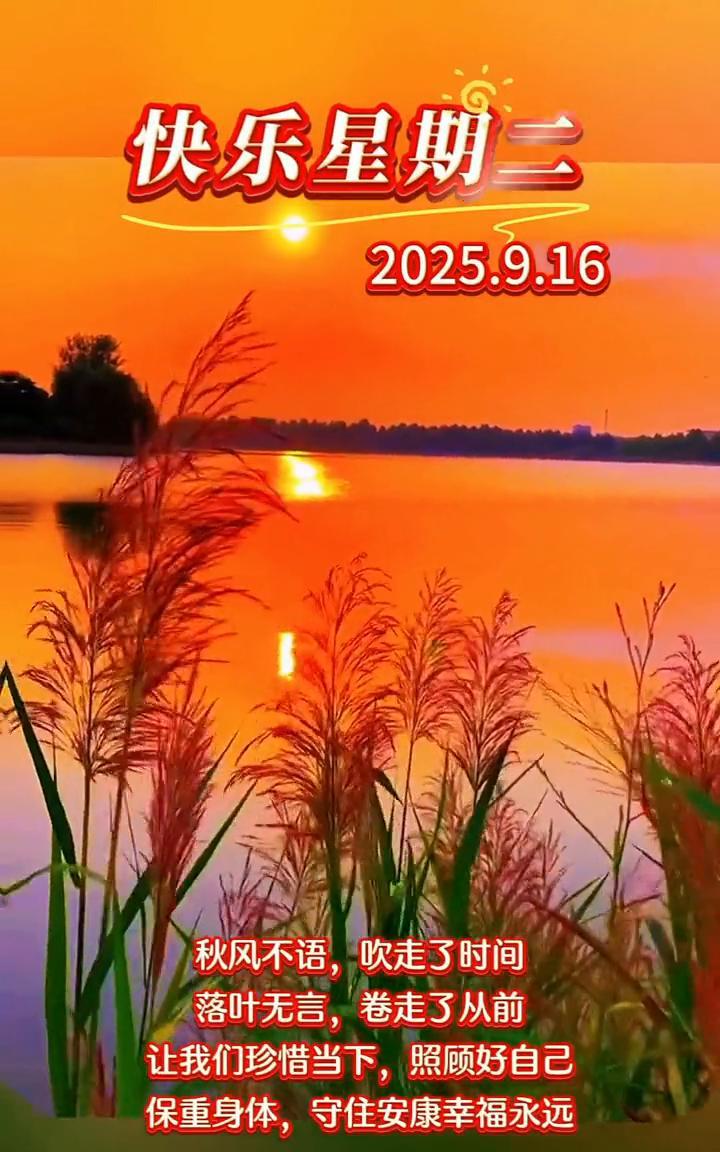 快乐星期二，2025.9.16。秋风不语，吹走了时间。落叶无言，卷走了从前。让
