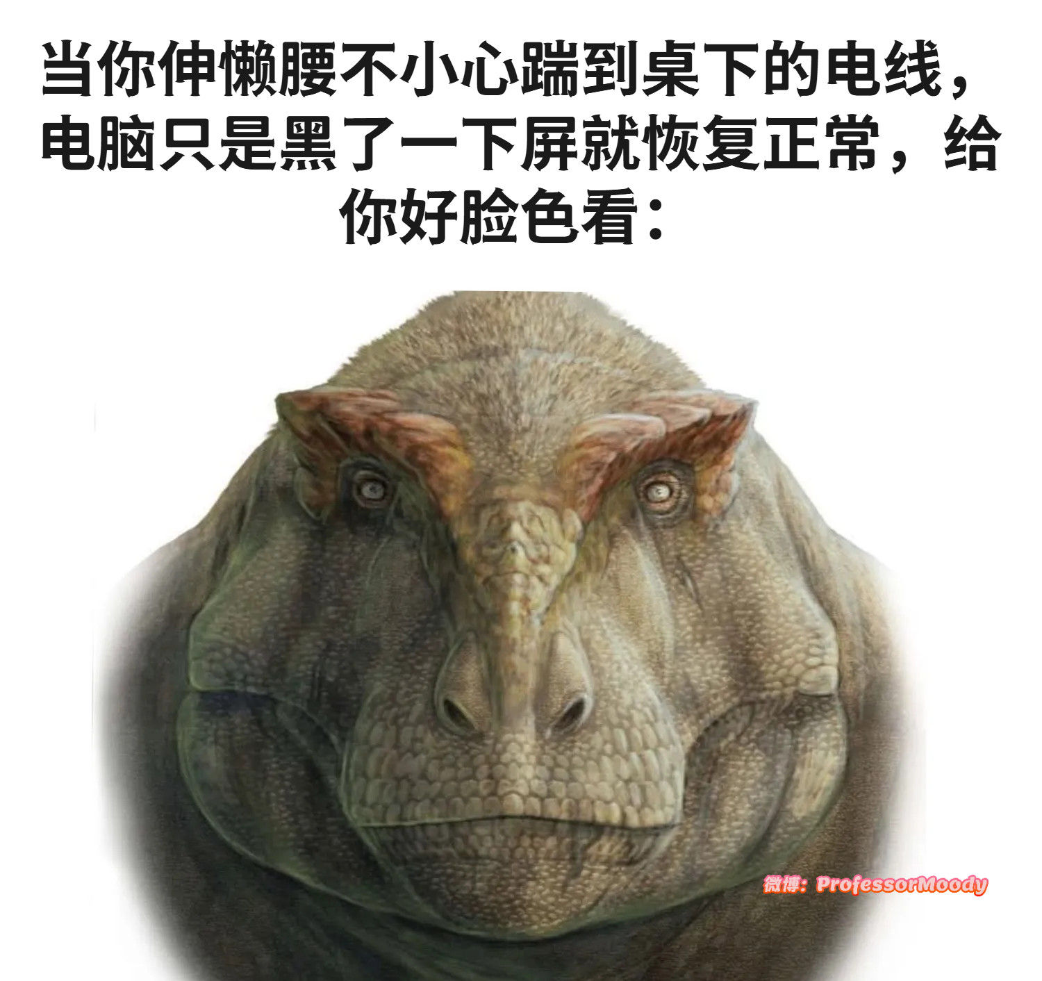 吓吓你的meme​​​