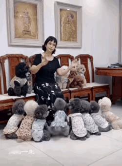 一个女人养十几条小泰迪狗，在屋里又唱又跳，小狗跟着翩翩起舞，神经兮兮的。这