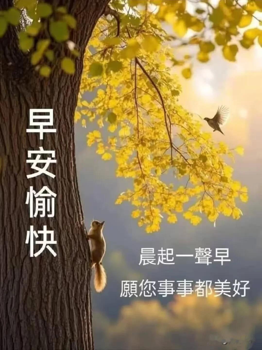 早安，把烦恼留在昨夜，轻松奔赴新一天。