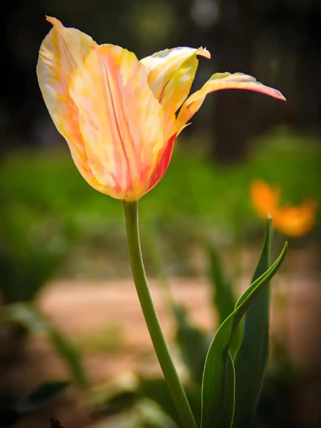 奉劝老年朋友：“一旦你的年龄超过75岁，或者是将近80岁的时候，最好是把自己银行