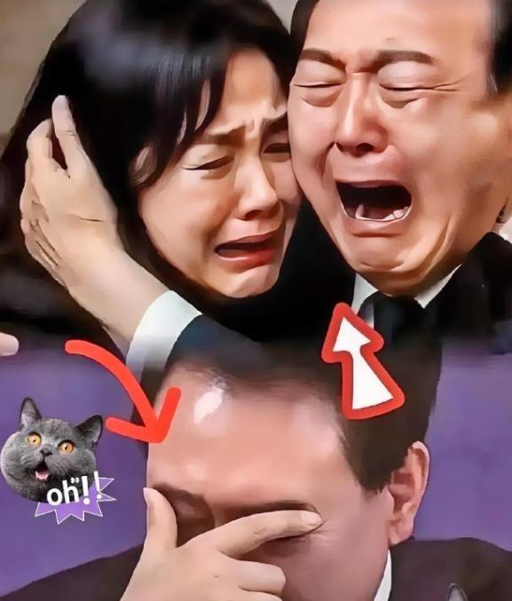 韩国检察组宣布了！韩国内乱特别检察组宣布，已就前总统尹锡悦在一审判决中获得无罪的