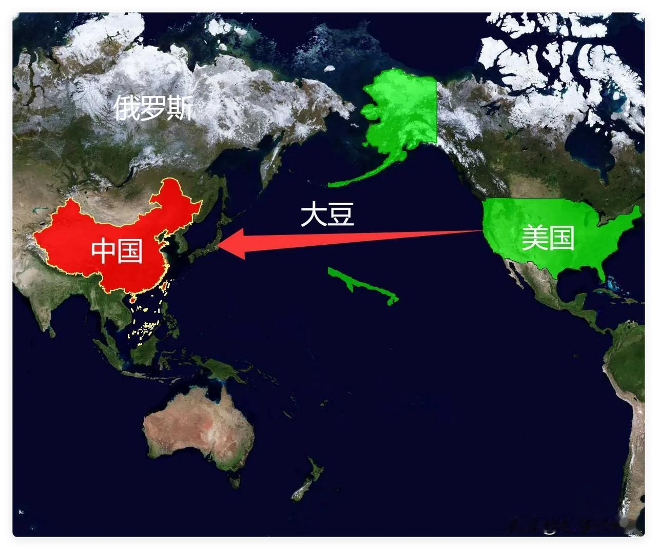 把俄美大豆进行对比，才彻底明白，为何有些进口大豆源于美国你厨房里那瓶金黄的豆油