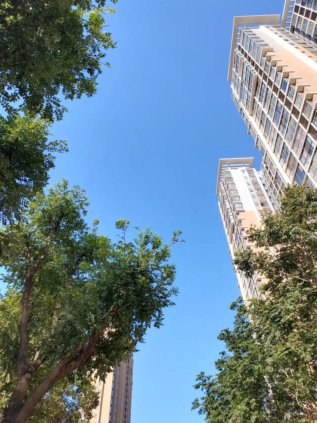 朋友离婚很多年了，一直想找个条件好的、真心过日子的好男人重组家庭，可是这么多年没