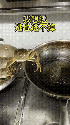 方向比努力更重要啊[捂脸哭]