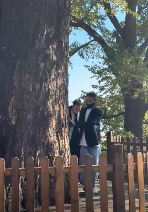 我有种预感辛柏青icon，怕是又要上热搜了原因很简单，他居然5个月不换头像