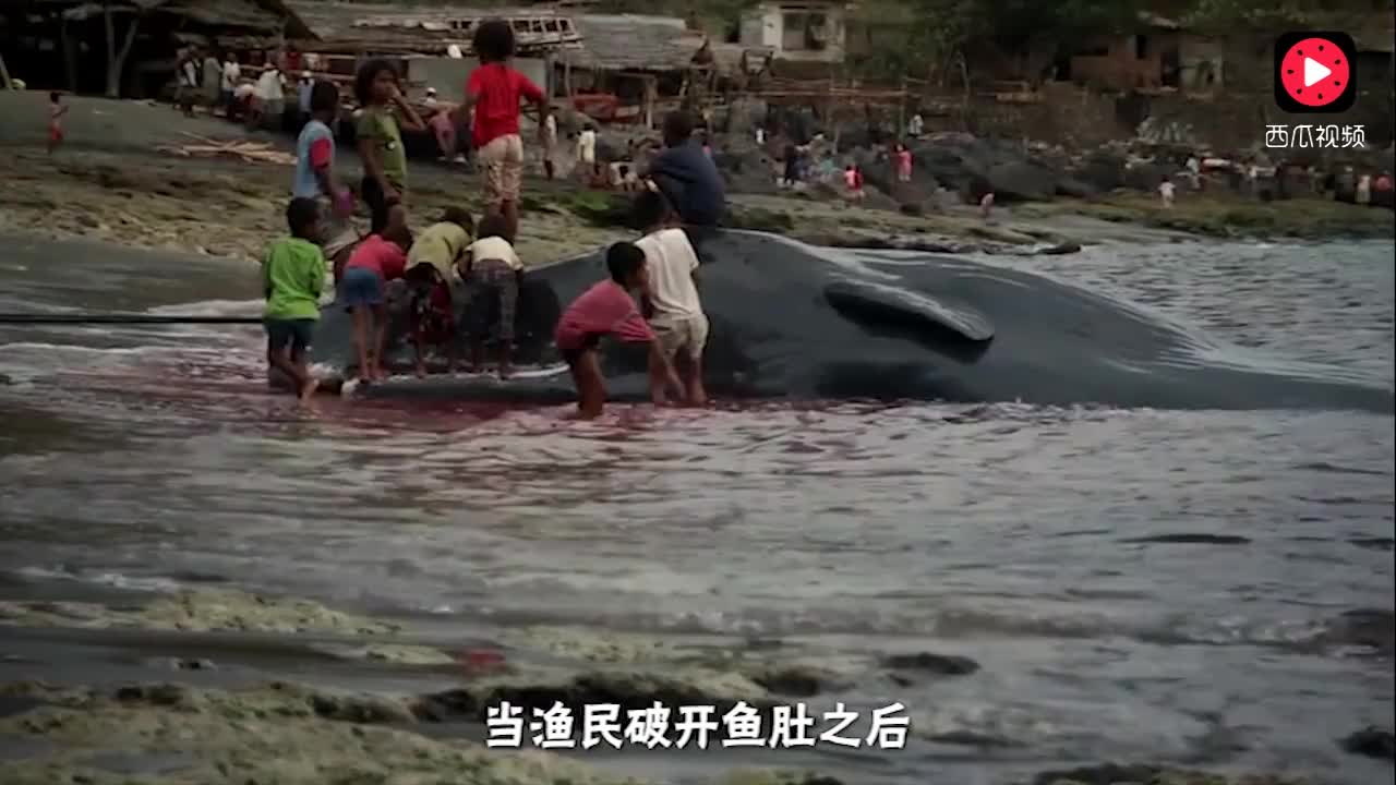 2616859232824175548.jpg?id=0