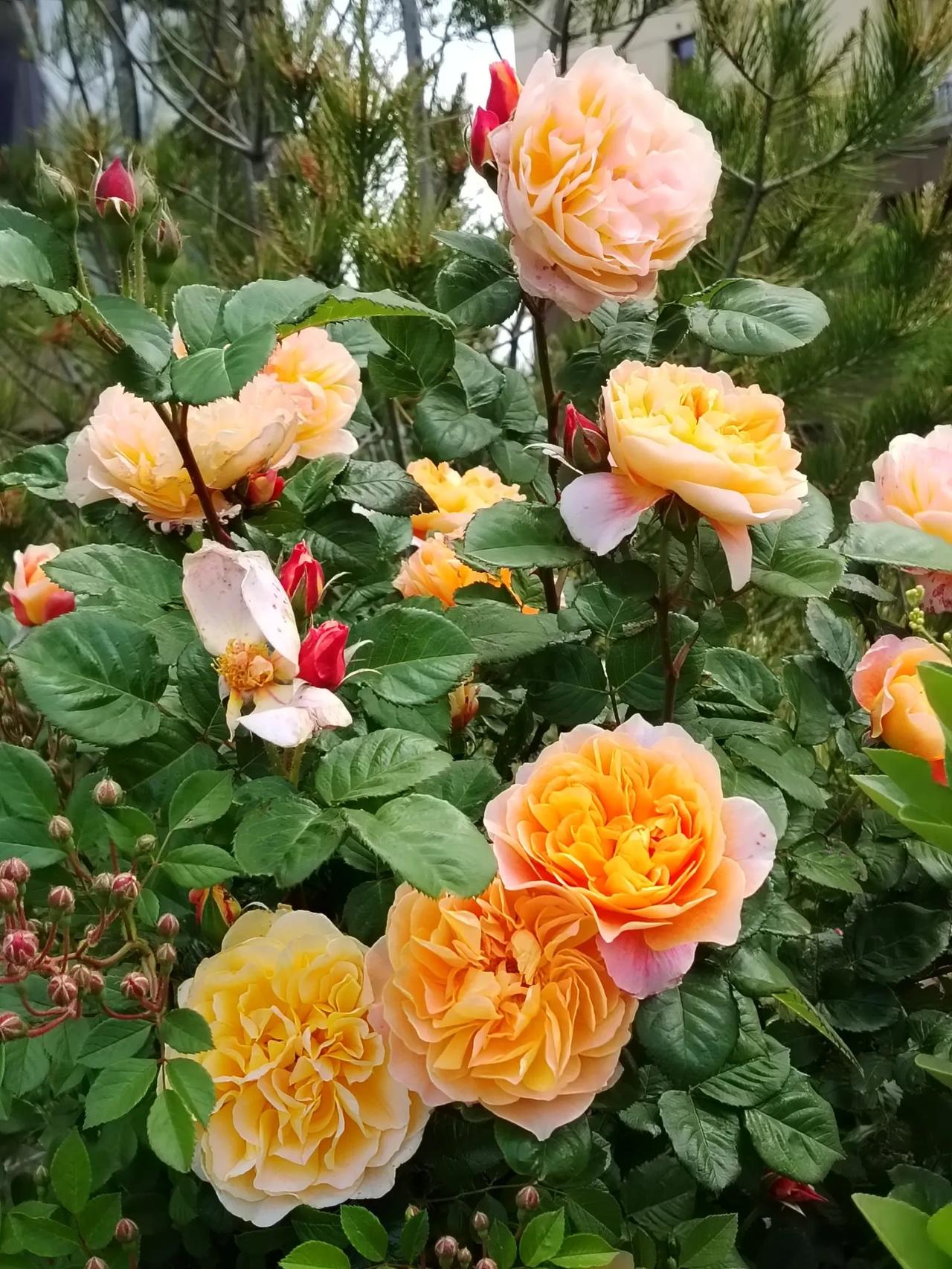 出上：霜轻叶落秋江静，对下：雨大花肥夏水腾。
