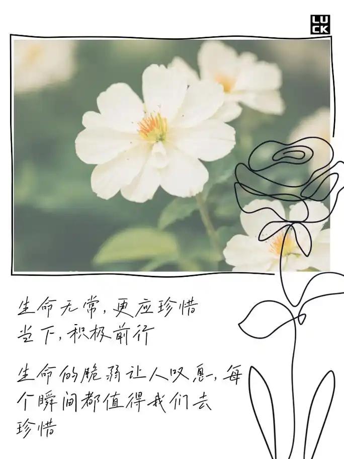 生命如烛，珍惜眼前人今天，办公室的气压低得让人窒息。一个我们每天见面、一起