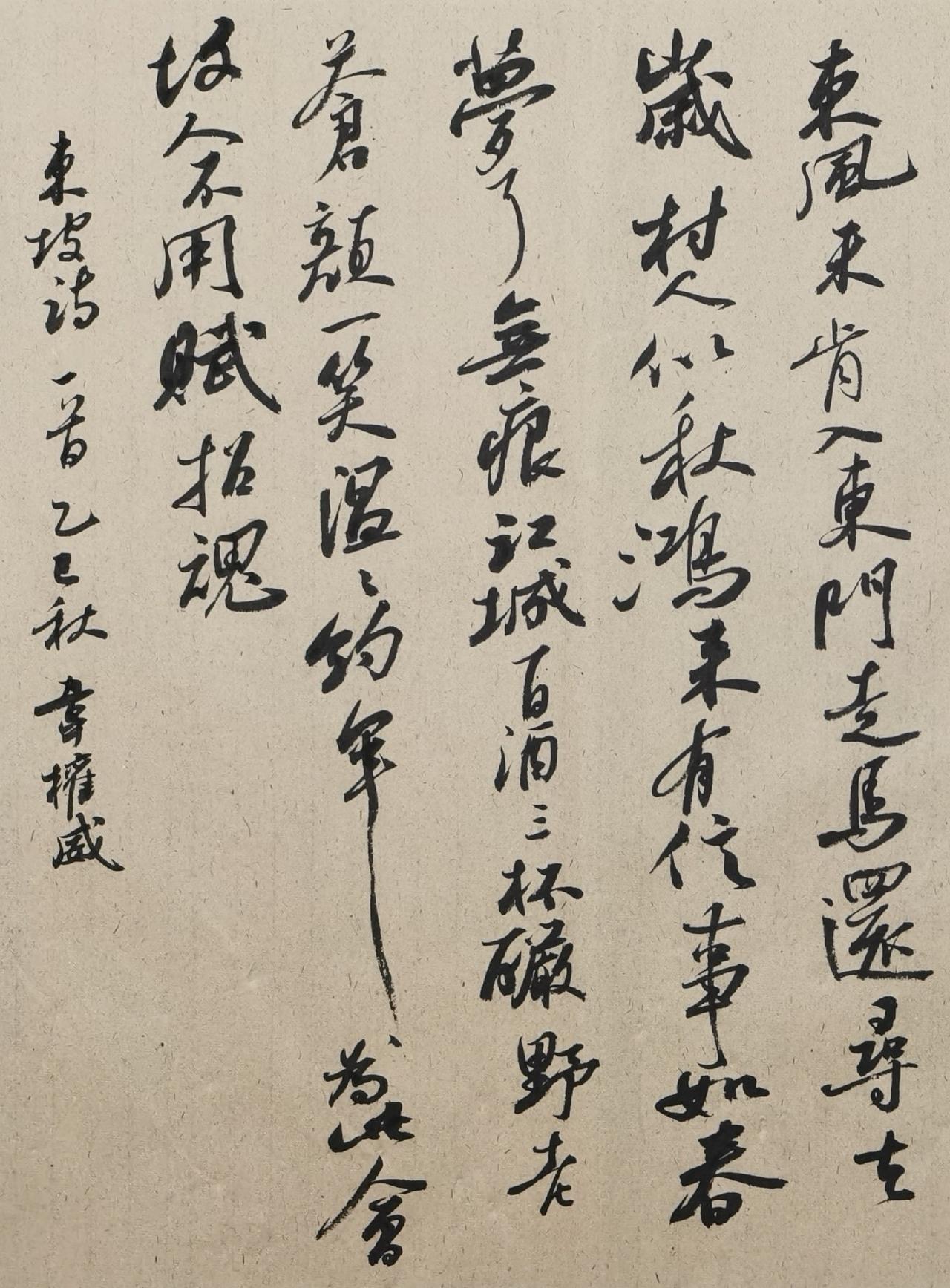 书法作品赏析＃用苏东坡的风格写苏东坡的诗。被“人似秋鸿来有信，事如春梦了无痕”这