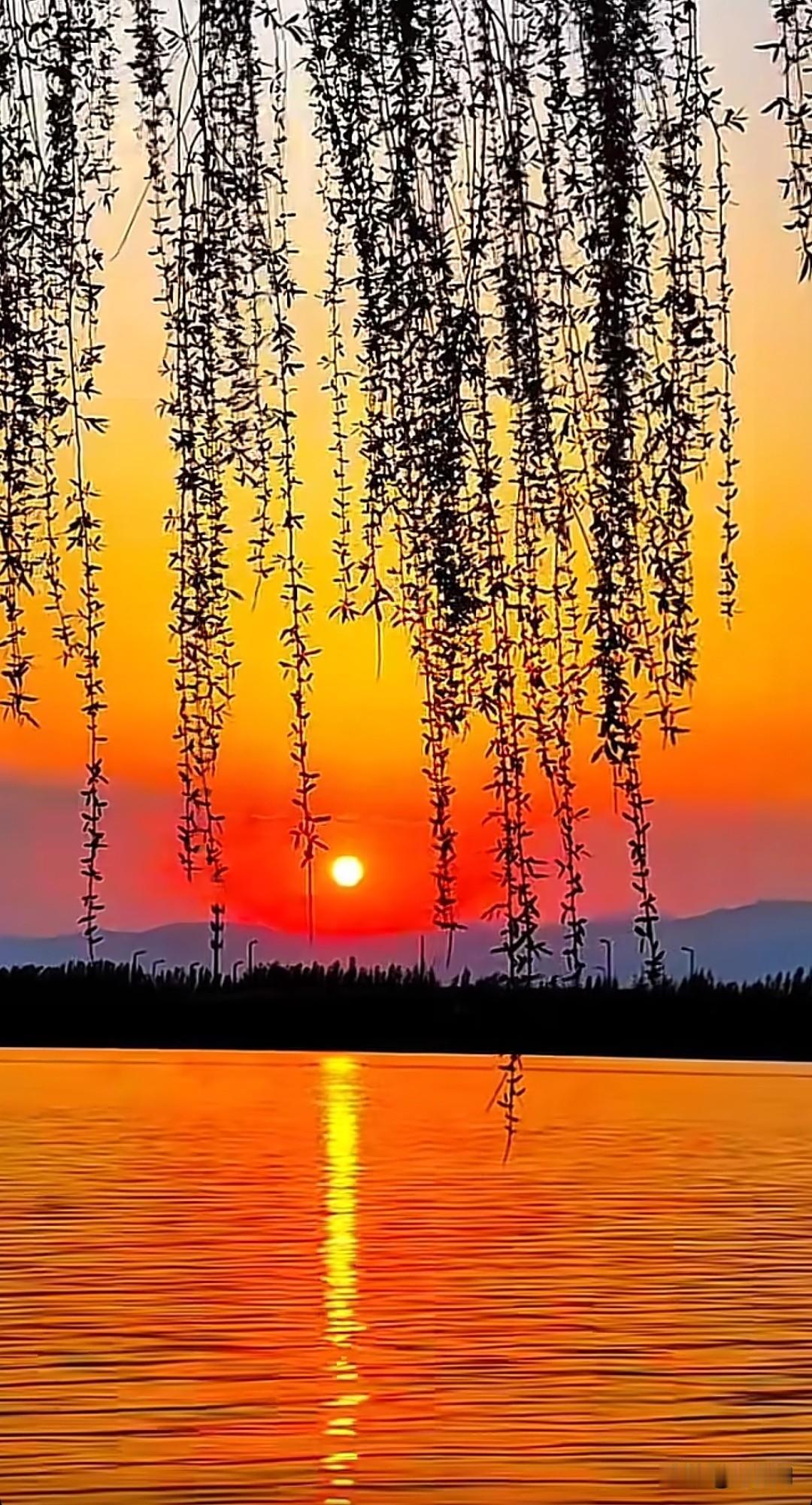 七律•谷雨情雨生百谷润平畴，岸柳拖烟翠欲流。布谷声中催早种，荼蘼香里送春